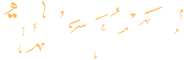 محمود محمد سلامه | مهندس شبكات كمبيوتر ، مصمم جرافيك ، مطور ويب