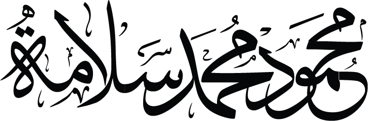 محمود محمد سلامه | مهندس شبكات كمبيوتر ، مصمم جرافيك ، مطور ويب